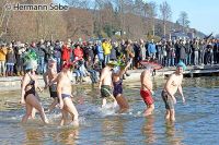 Velden Neujahrschwimmen Im Casino Bad 29   Foto Hermann Sobe